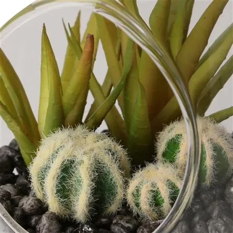 Caro Aloe Pot