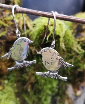 Robin Red Breast Earrings, An Spideog